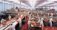 Действующий бизнес - производство мясных продуктов.