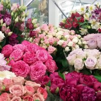Продажа действующего Бутика Цветов в Киеве